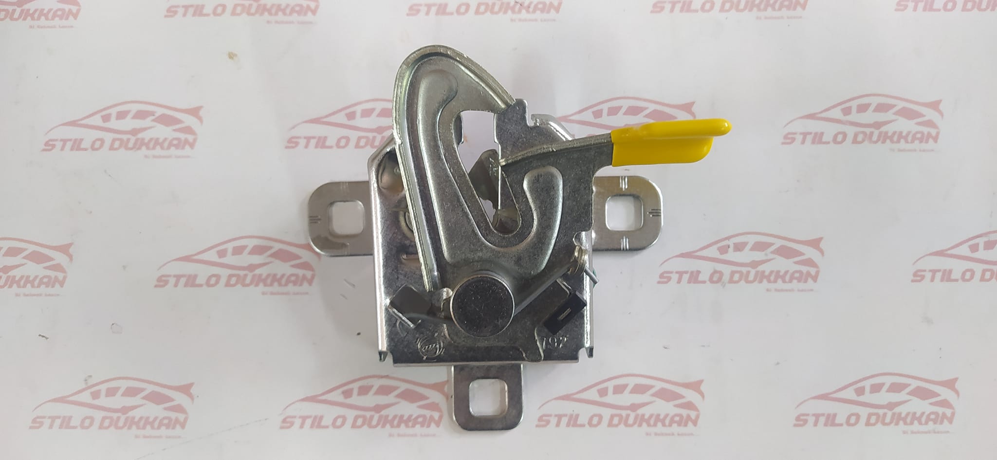 441584573_10161596518829873_8702740392834933992_n 441584573_10161596518829873_8702740392834933992_n