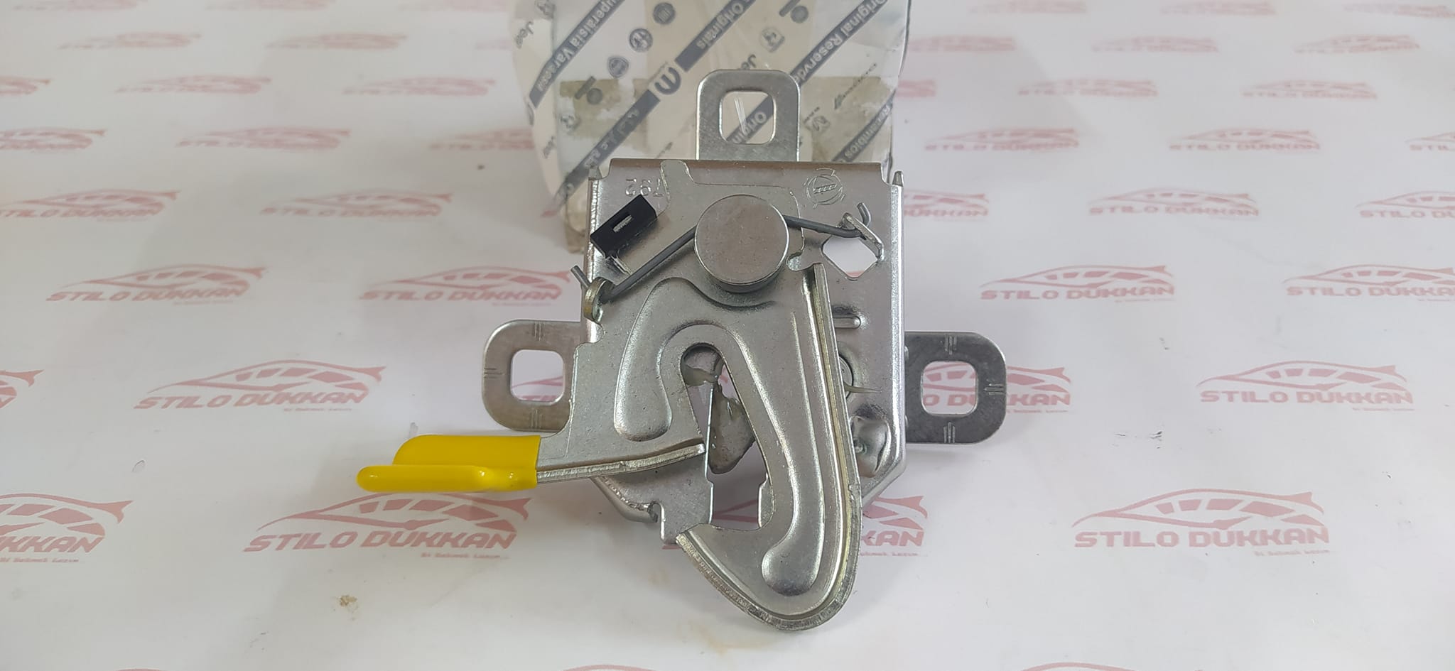 441883521_10161596518899873_9108680809997715397_n 441883521_10161596518899873_9108680809997715397_n