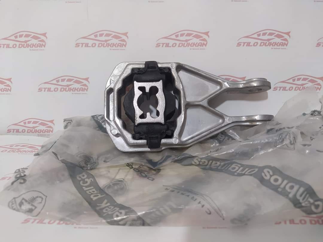 446641021_10232761484888254_7070872825790547_n 446641021_10232761484888254_7070872825790547_n