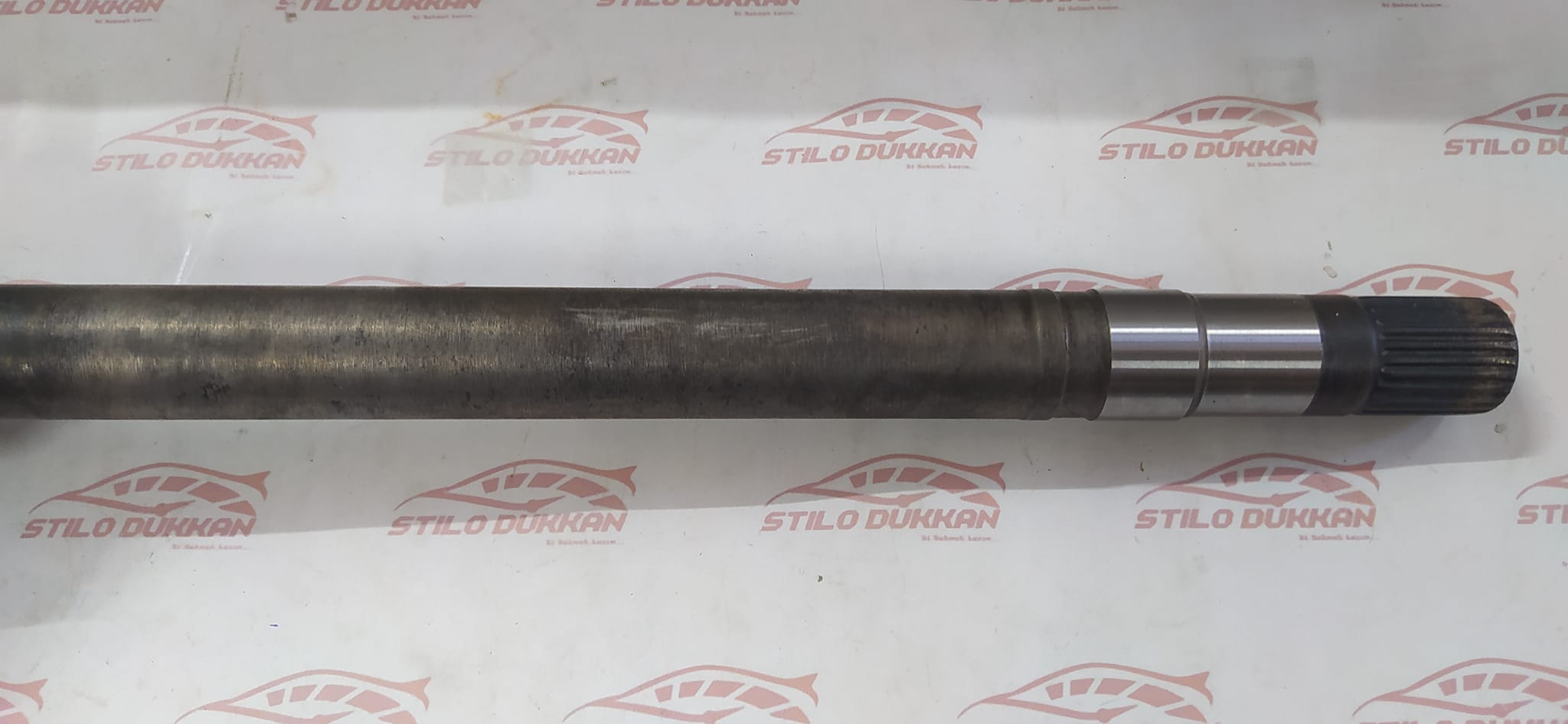 462418880_10234054828341032_4893695001125991133_n 462418880_10234054828341032_4893695001125991133_n