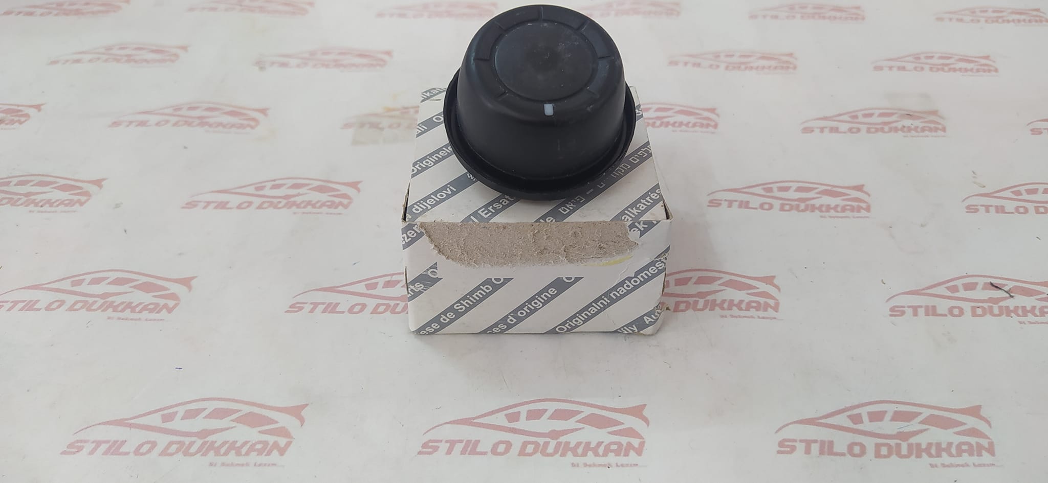 464414141_10234248793870049_8896564376509275145_n 464414141_10234248793870049_8896564376509275145_n